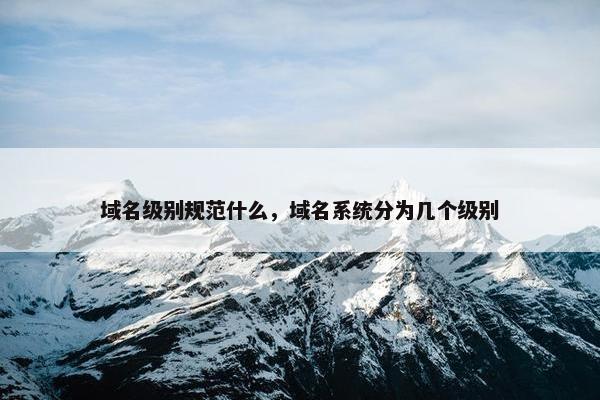 域名级别规范什么，域名系统分为几个级别