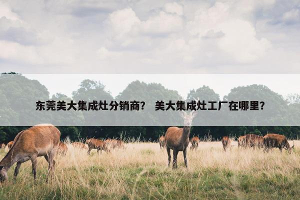 东莞美大集成灶分销商？ 美大集成灶工厂在哪里？