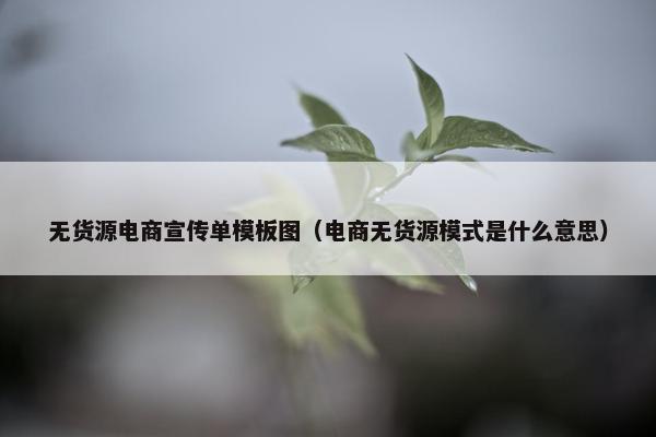 无货源电商宣传单模板图（电商无货源模式是什么意思）