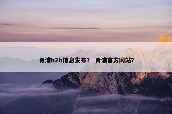 青浦b2b信息发布？ 青浦官方网站？