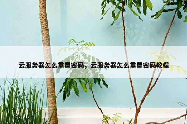 云服务器怎么重置密码，云服务器怎么重置密码教程