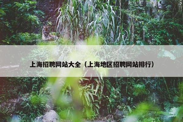 上海招聘网站大全（上海地区招聘网站排行）