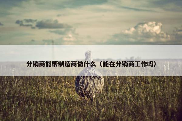 分销商能帮制造商做什么（能在分销商工作吗）