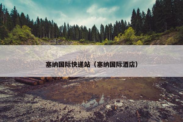 塞纳国际快递站（塞纳国际酒店）