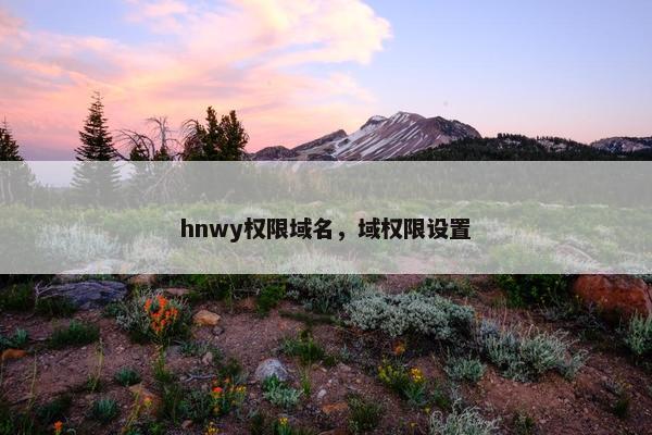 hnwy权限域名，域权限设置