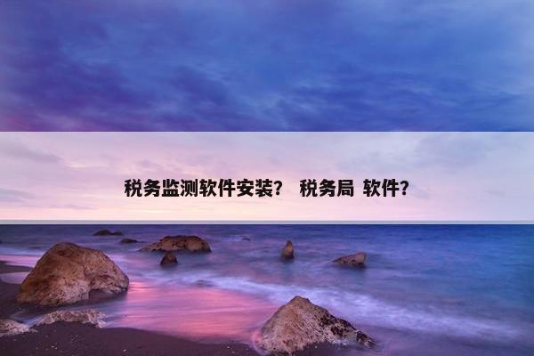 税务监测软件安装？ 税务局 软件？