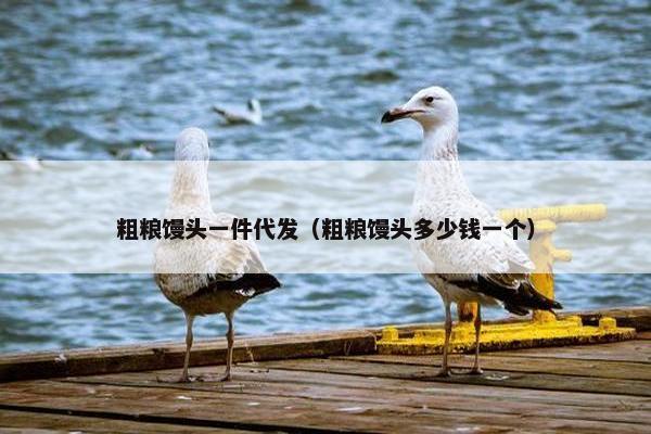 粗粮馒头一件代发（粗粮馒头多少钱一个）