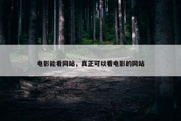 电影能看网站，真正可以看电影的网站