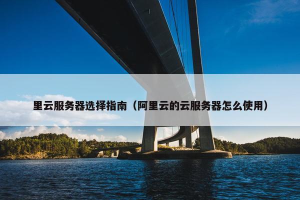 里云服务器选择指南（阿里云的云服务器怎么使用）