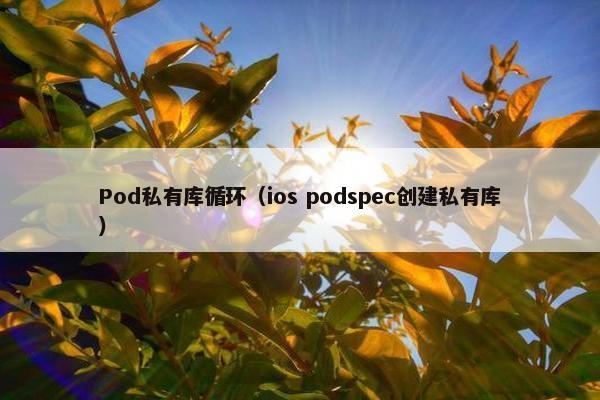 Pod私有库循环（ios podspec创建私有库）