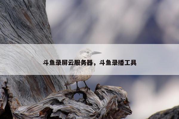 斗鱼录屏云服务器，斗鱼录播工具