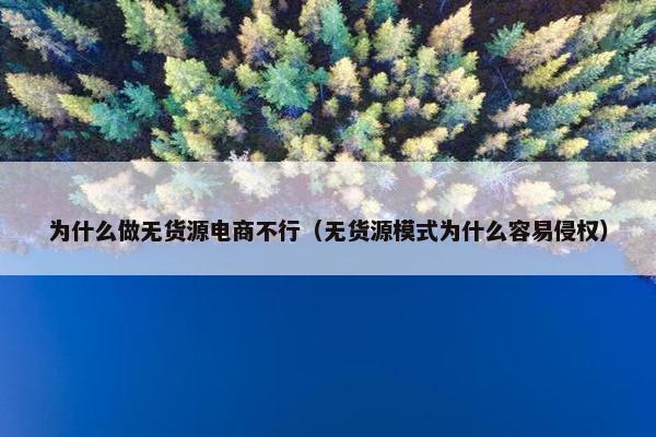 为什么做无货源电商不行（无货源模式为什么容易侵权）