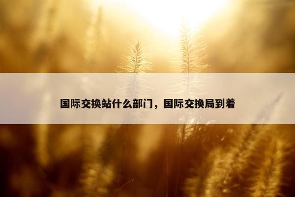 国际交换站什么部门，国际交换局到着