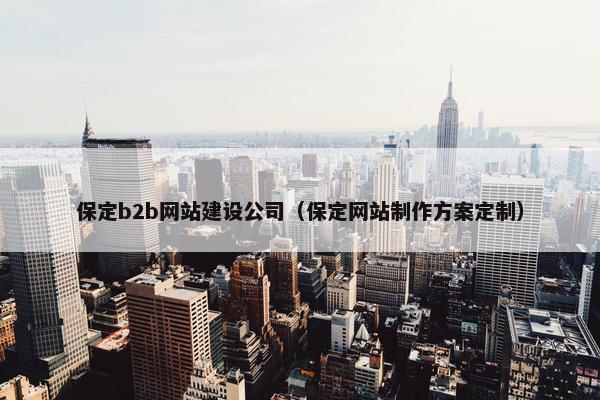 保定b2b网站建设公司（保定网站制作方案定制）