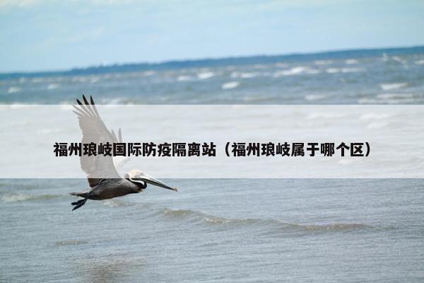 福州琅岐国际防疫隔离站（福州琅岐属于哪个区）