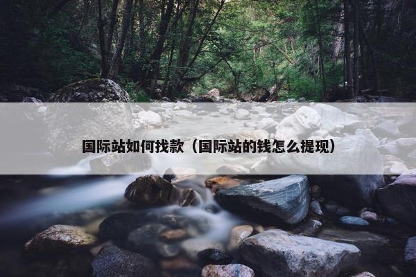 国际站如何找款（国际站的钱怎么提现）