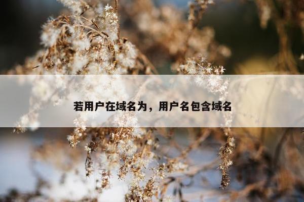 若用户在域名为，用户名包含域名