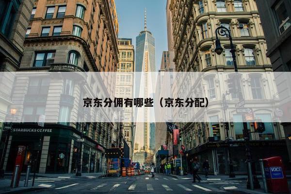 京东分佣有哪些（京东分配）