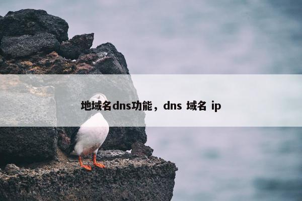 地域名dns功能，dns 域名 ip