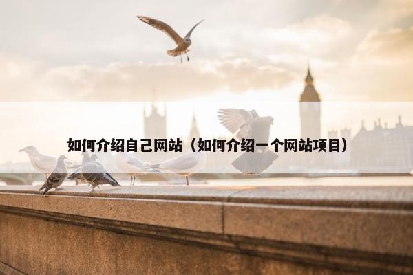 如何介绍自己网站（如何介绍一个网站项目）
