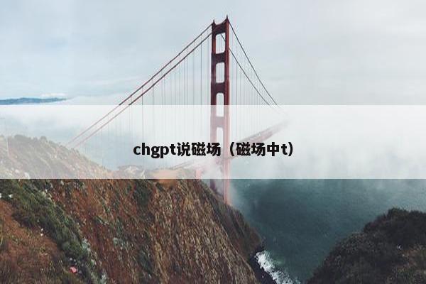 chgpt说磁场（磁场中t）