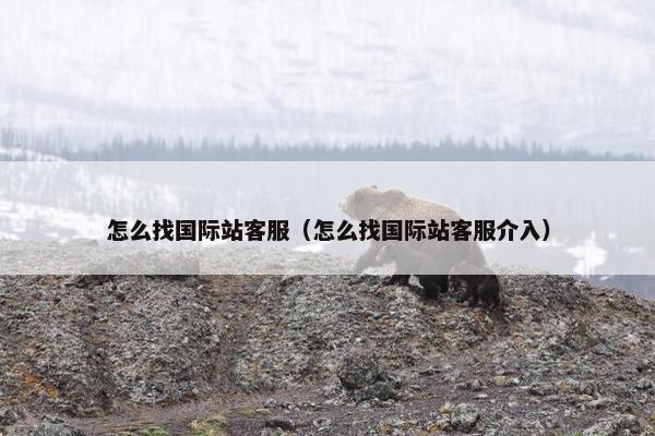 怎么找国际站客服（怎么找国际站客服介入）