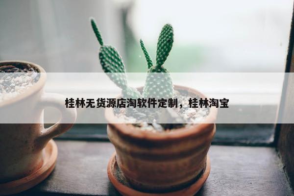桂林无货源店淘软件定制，桂林淘宝