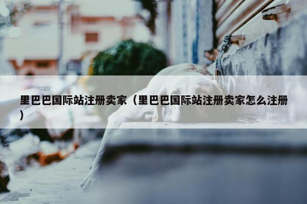 里巴巴国际站注册卖家（里巴巴国际站注册卖家怎么注册）