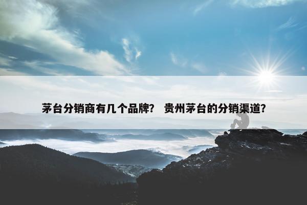 茅台分销商有几个品牌？ 贵州茅台的分销渠道？