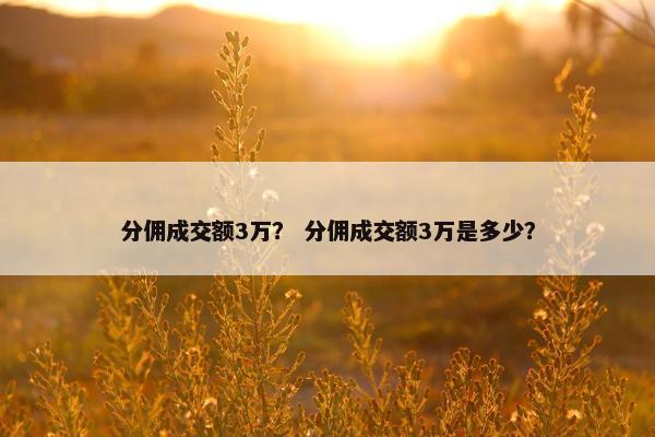 分佣成交额3万？ 分佣成交额3万是多少？