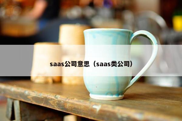 saas公司意思（saas类公司）