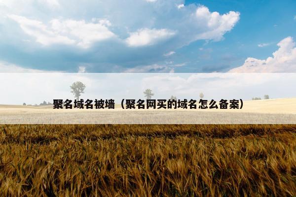 聚名域名被墙（聚名网买的域名怎么备案）
