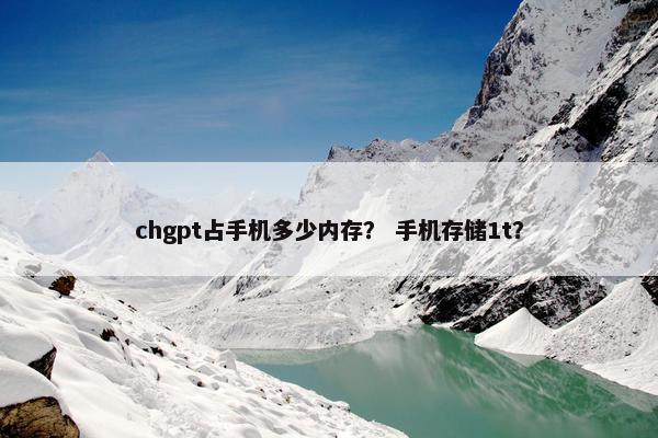 chgpt占手机多少内存？ 手机存储1t？
