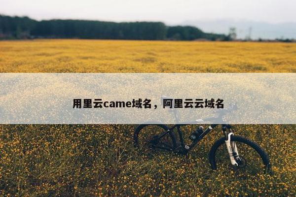 用里云came域名，阿里云云域名