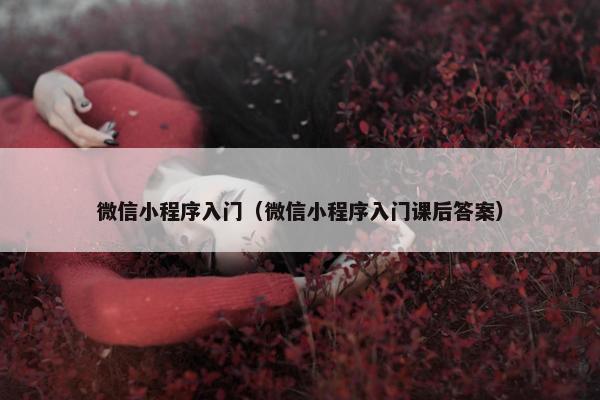 微信小程序入门（微信小程序入门课后答案）
