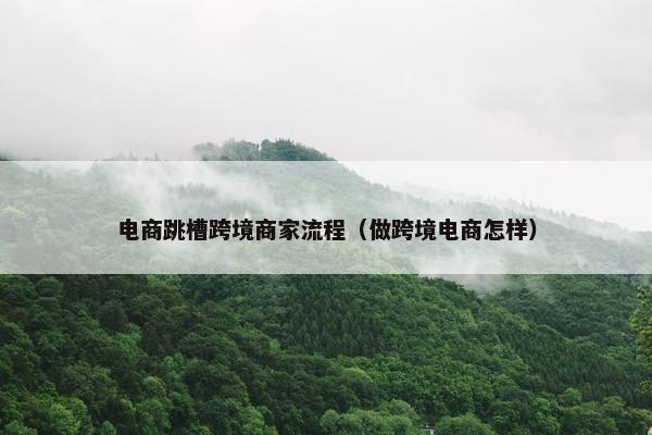 电商跳槽跨境商家流程（做跨境电商怎样）