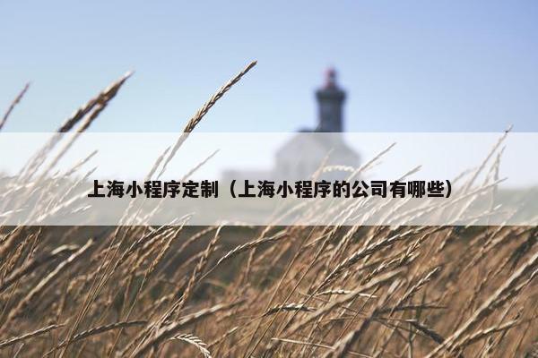 上海小程序定制（上海小程序的公司有哪些）