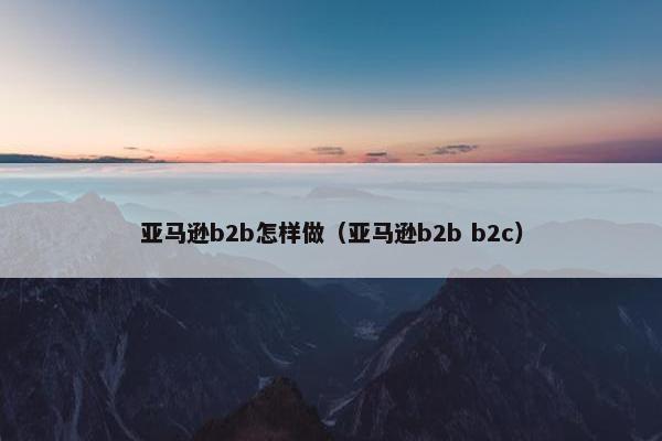 亚马逊b2b怎样做（亚马逊b2b b2c）