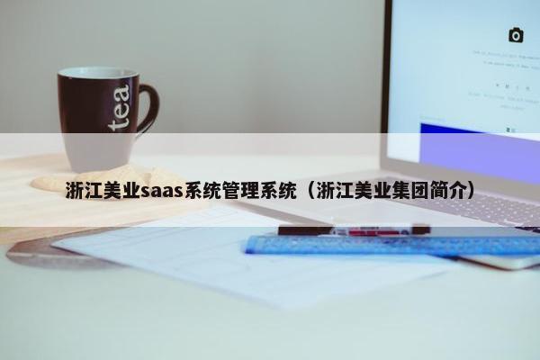 浙江美业saas系统管理系统（浙江美业集团简介）