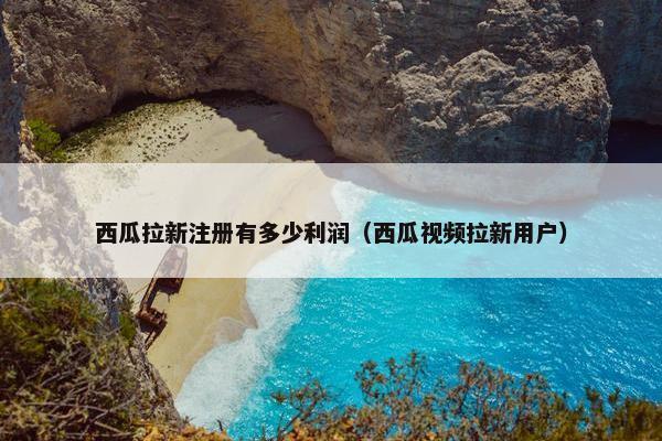 西瓜拉新注册有多少利润（西瓜视频拉新用户）