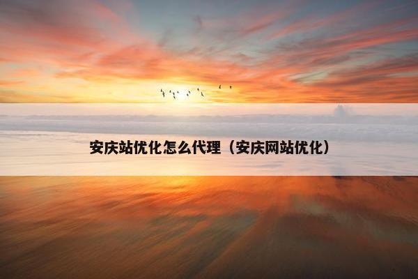 安庆站优化怎么代理（安庆网站优化）