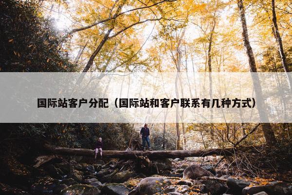 国际站客户分配（国际站和客户联系有几种方式）