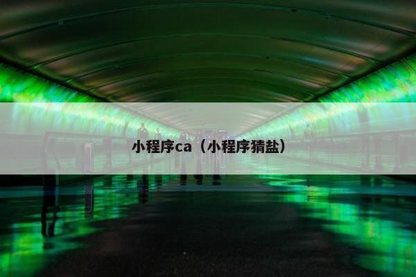 小程序ca（小程序猜盐）