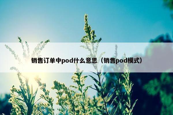 销售订单中pod什么意思（销售pod模式）