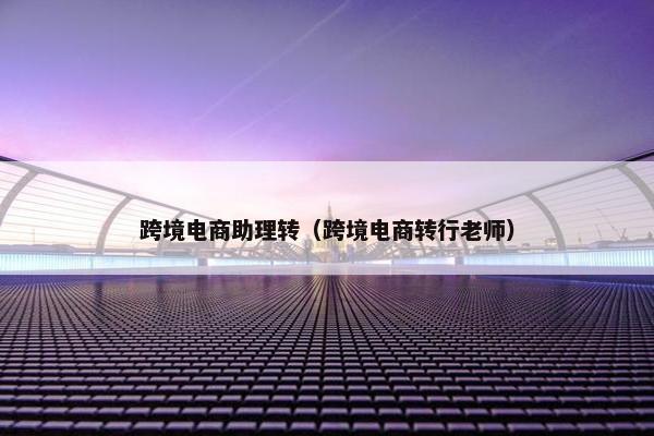 跨境电商助理转（跨境电商转行老师）