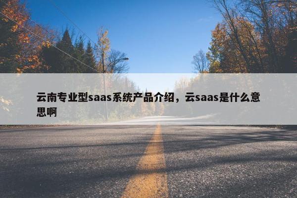 云南专业型saas系统产品介绍，云saas是什么意思啊
