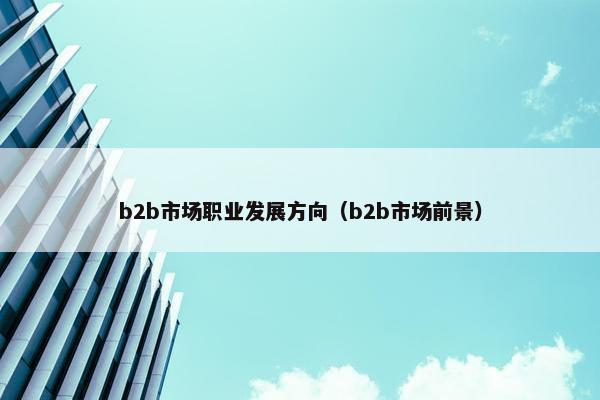 b2b市场职业发展方向（b2b市场前景）