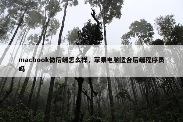 macbook做后端怎么样，苹果电脑适合后端程序员吗