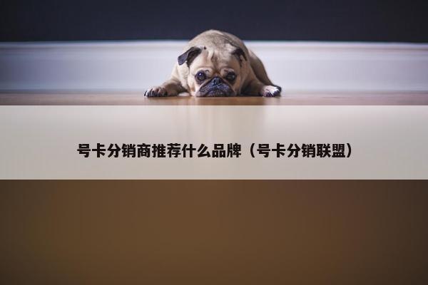 号卡分销商推荐什么品牌（号卡分销联盟）
