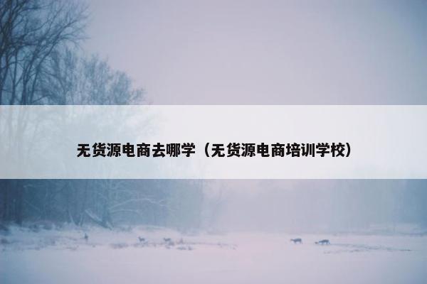 无货源电商去哪学（无货源电商培训学校）